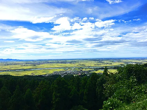 豊かな農地が広がる庄内平野