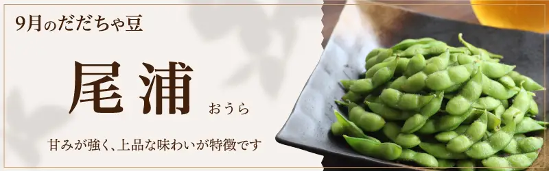 9月のだだちゃ豆　尾浦