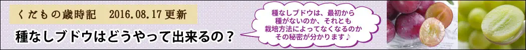 種なしブドウはどうやって出来るの？