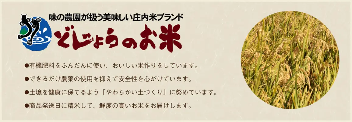 どじょうのお米