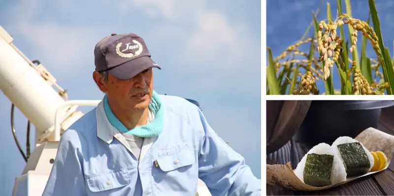 お米生産者　大谷さん