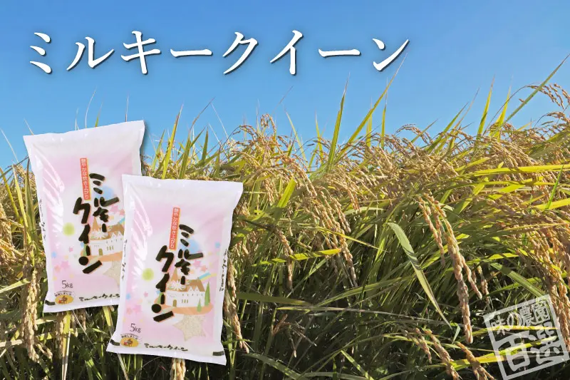 ミルキークイーン