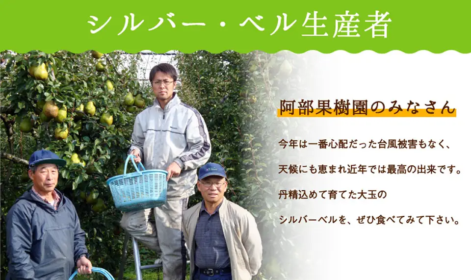 シルバーベル生産者