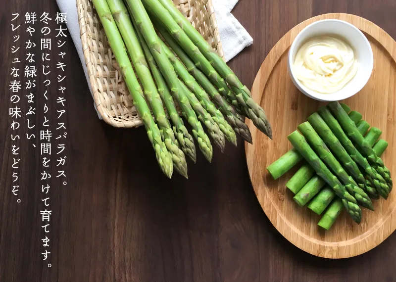 極太シャキシャキアスパラガス。冬の間にじっくりと時間をかけて育てます。鮮やかな緑がまぶしい、フレッシュな春の味わいをどうぞ。