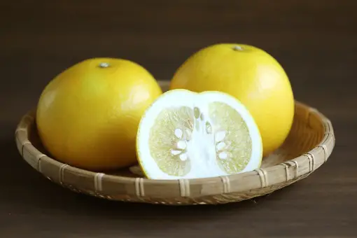 文旦は香りが良く甘酸のバランスのとれた上品な味わい