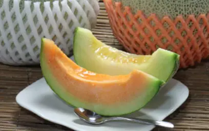 青肉・赤肉メロンセット