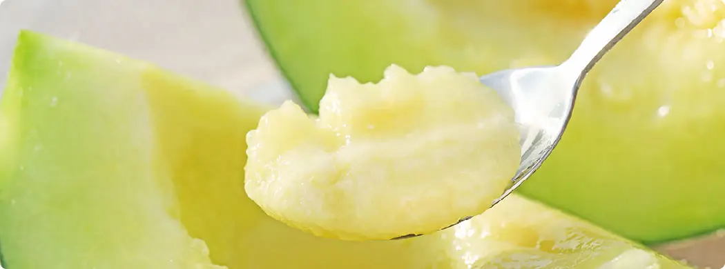 庄内砂丘メロン