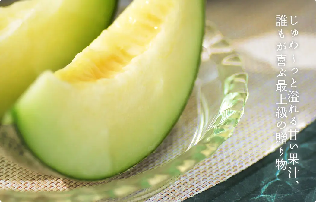 庄内砂丘メロン