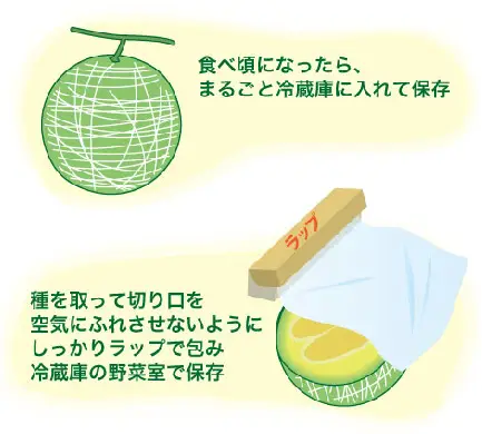 メロンの保存方法