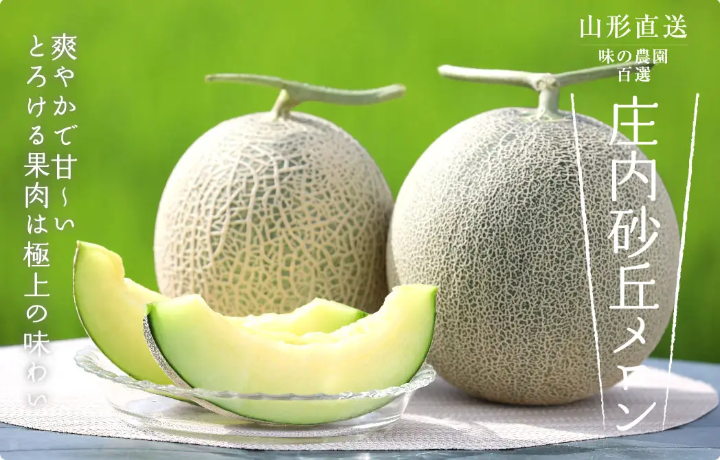 庄内砂丘メロン