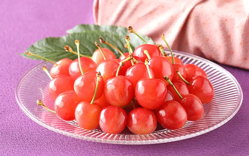 お中元さくらんぼ