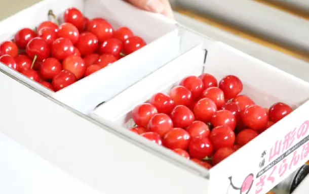 梱包・発送作業