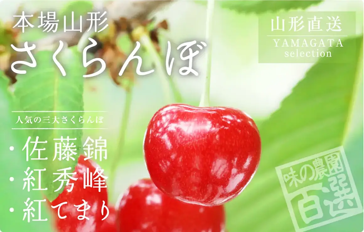 山形さくらんぼ