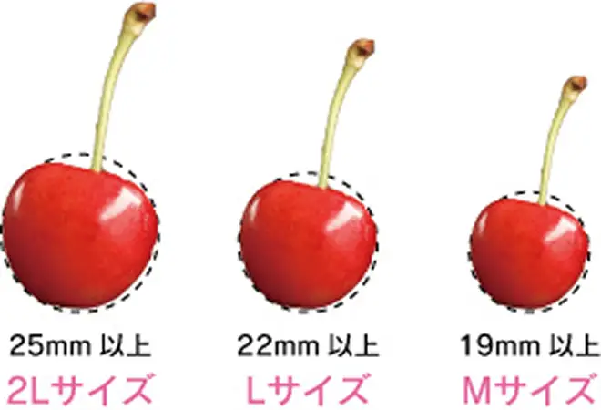 さくらんぼのサイズ規格