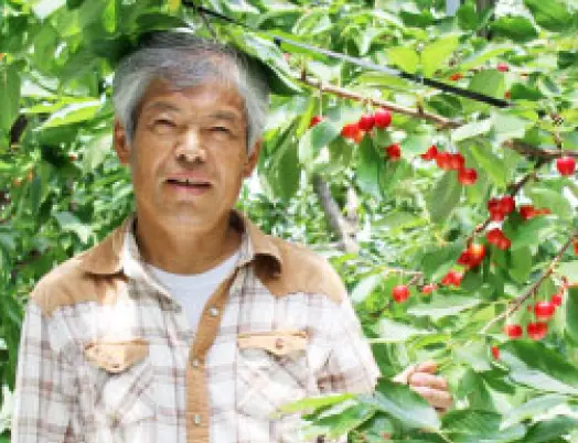 紅手まり生産者　芦野さん
