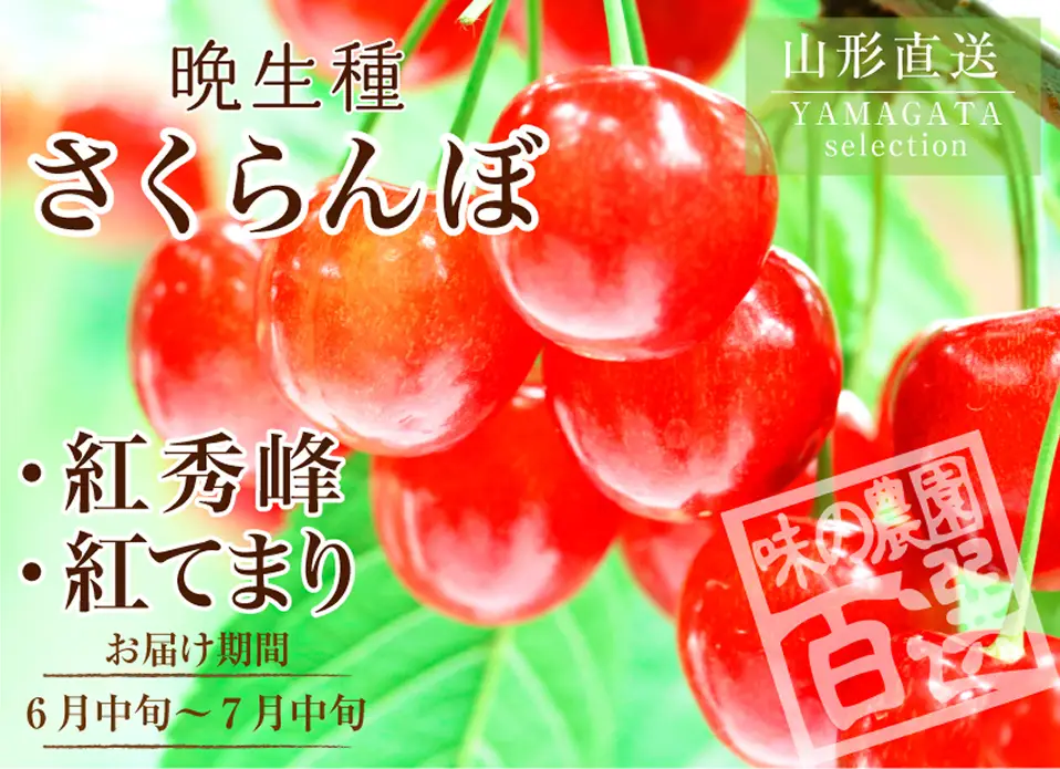 紅秀峰・紅てまり(6月中旬以降お届け)