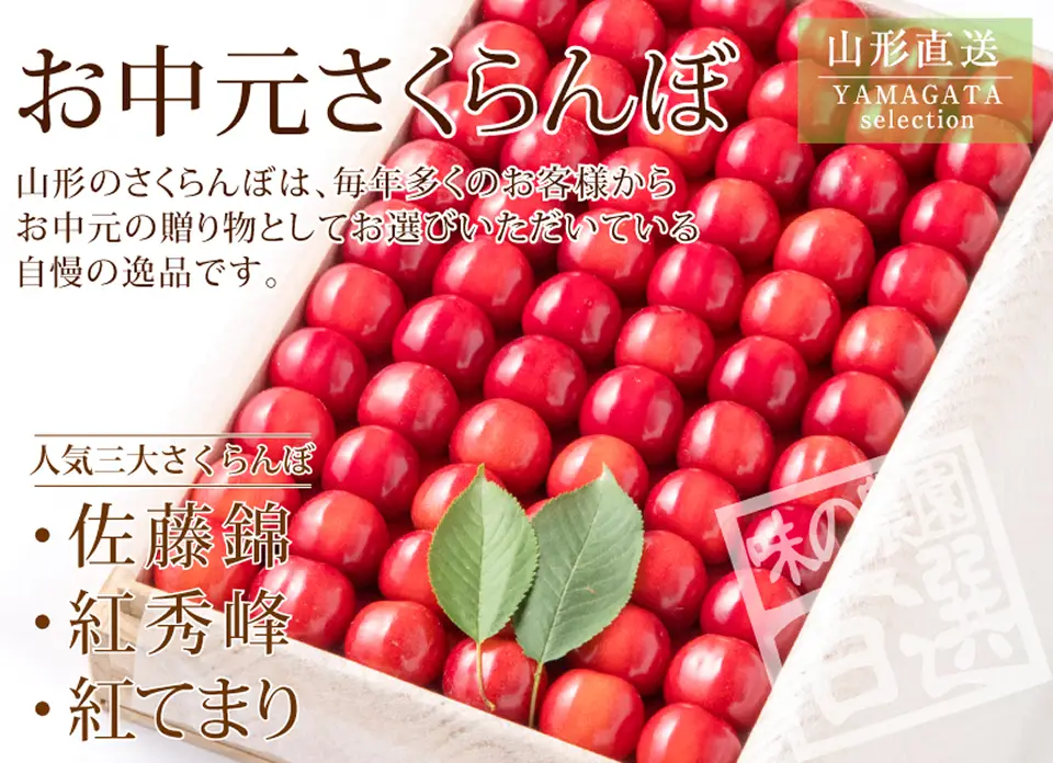 お中元さくらんぼ