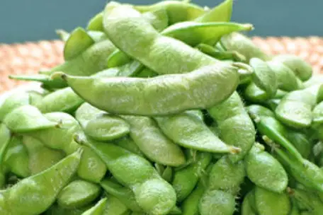 白山だだちゃ豆