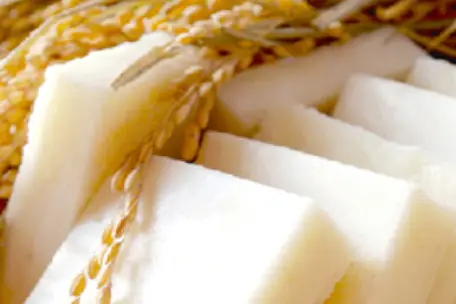 お餅(でわのもち)