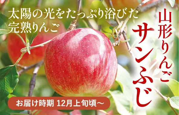 山形りんご　サンふじ