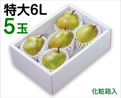 僉tX6L5ʁi49-Pj