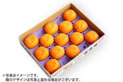 特別栽培庄内柿L玉 約2.5kg/秀品13玉（04-G）
