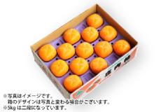 特別栽培庄内柿L玉 約5kg/秀品26玉（04-H）