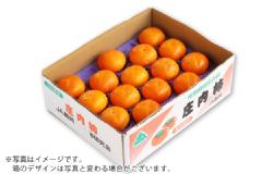 特別栽培庄内柿M玉 約5kg/秀品30玉（04-J）