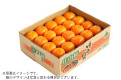 庄内柿M玉 約7.5kg/優品40玉（04-M）