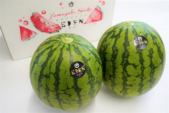 笑伝 -EDEN- 小玉スイカ 秀品 約2kg×2個（26-E）