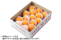 庄内柿L玉以上 約3kg/秀品12～16玉（65-M）