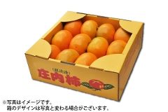 庄内柿M玉以上 約2kg/秀品10～12玉（65-L）