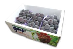 ピオーネ／約2kg（お届け9月20日頃～10月20日頃）（08-C）