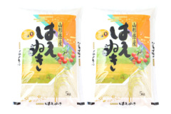 yߘa7NYVāzR`Y ͂ʂ 10kgi5kg~2ji10-Lj
