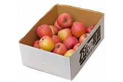 �󂠂�i���I�ʁj�����Ƃ���2.5�s