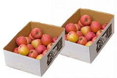 �󂠂�i���I�ʁj�����Ƃ���5�s