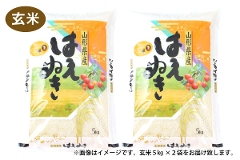 �y�ߘa7�N�Y�z�R�`���Y �͂��ʂ� ���� 10kg�i5kg�~2�j�i10-R�j