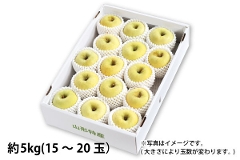 R`Y VimS[h 5kg i09-Fj
