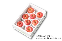 山形りんご 阿部さんの蜜入り大玉こうとく 約2kg（51-A）