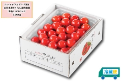 nEXڍ ol500g LTCYi73-Ajy6{͂z