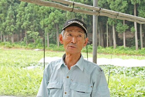 スイカ通販　西瓜通販　尾花沢西瓜