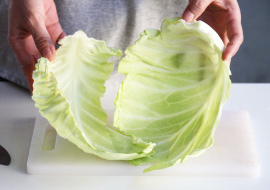 Cabbage01