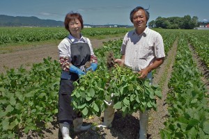 だだちゃ豆　白山　枝豆