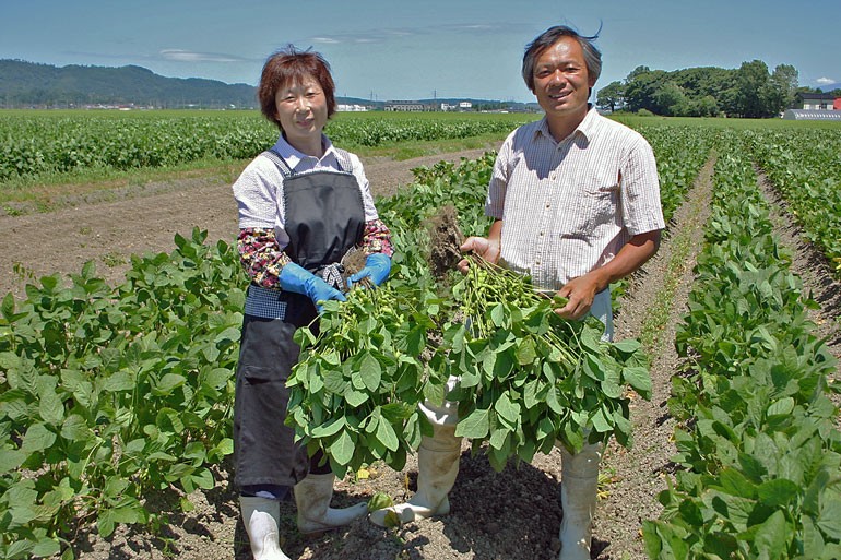 だだちゃ豆　白山だだちゃ　だだちゃ豆通販