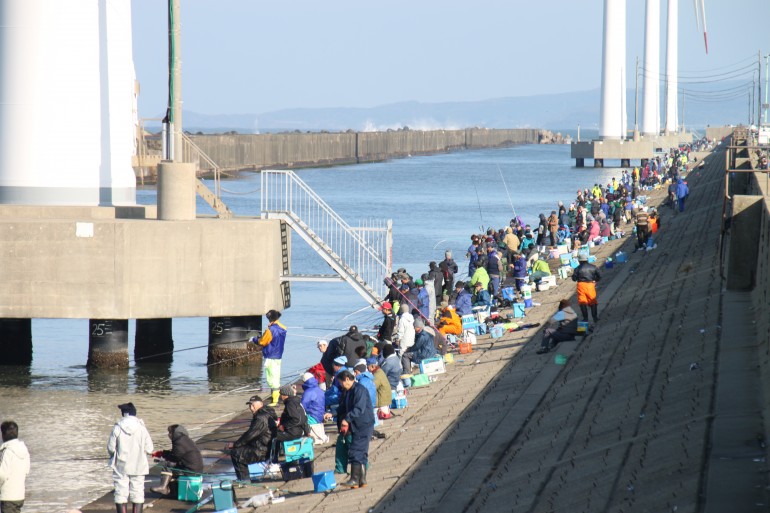 酒田 ハタハタ 釣り