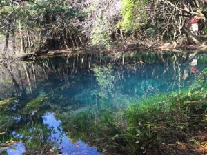 丸池さま　味の農園　牛渡川