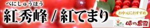 紅てまり　紅秀峰　大粒さくらんぼ