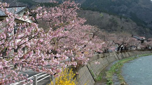 味の農園　温海温泉　山形見所