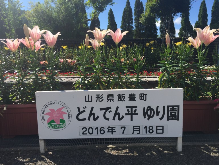 どんでん平ゆり園 山形県飯豊町 味の農園