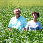 だだちゃ豆　白山だだちゃ豆　だだちゃ豆通販